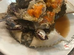-普乐酱蟹(coex店)