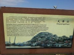 -洋山深水港