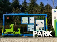 -昆山城市生态森林公园