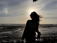 -宝安西湾红树林湿地公园