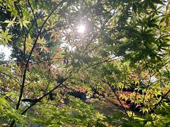 -绮园景区