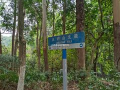 -火炉山森林公园