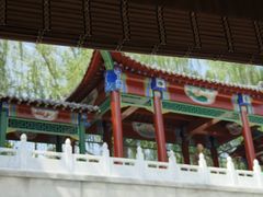 -皇家御河游(紫御湾码头)