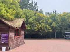 -西青郊野公园