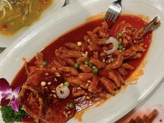 -苏城小院·园林精致苏州菜(斜塘老街店)