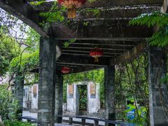 -广州神农草堂中医药博物馆