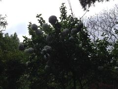 景点-穹窿山景区