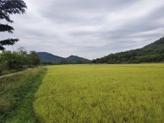 -风云岭森林公园