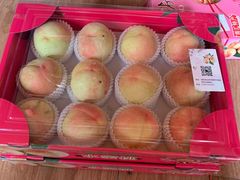 -南汇新场正宗水蜜桃采摘