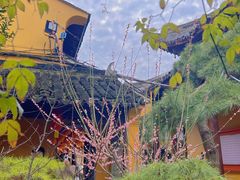 -龙华素斋(龙华路店)