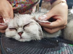 -喵汪宠物生活馆(涞坊路店)