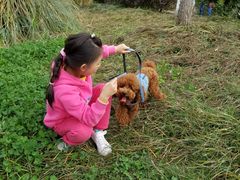 -白鹭湾湿地公园