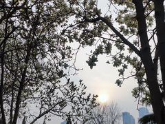 -睦南公园