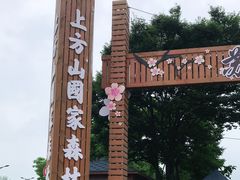 -苏州上方山国家森林公园