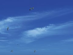 -南长涂沙滩