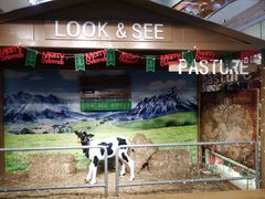 -鹿客西街(欧乐时尚广场店)