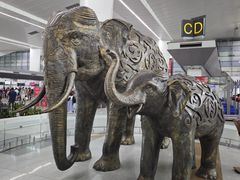 -英迪拉·甘地国际机场