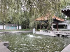 -沈阳植物园