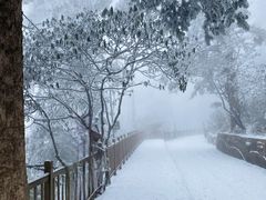 -瓦屋山景区