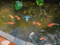 -上海大自然野生昆虫馆
