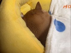 -全而廉(靖宇中路店)