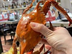 梭子蟹-四海蒸鲜蒸汽海鲜自助(北戴河店)