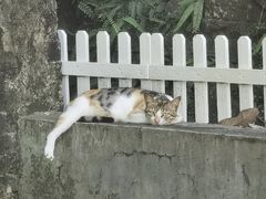 -三溪村