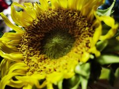 -参差咖啡(水果湖公园店)