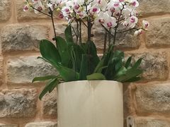 -第六季自助餐厅(甜水园店)