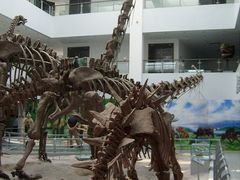 -中国地质大学逸夫博物馆