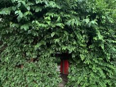 -斯多格书乡(北京大学畅春园店)