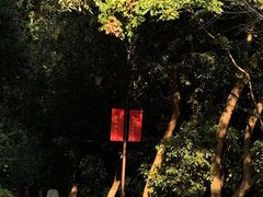 -杭州半山国家森林公园