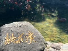 -黄山温泉国际旅游度假区