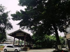 -荣生萝卜汤饭店