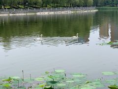 -长春世界雕塑园