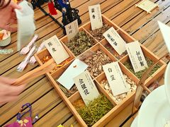 -蜜野MatYe城市营地·团建年会·亲子派对