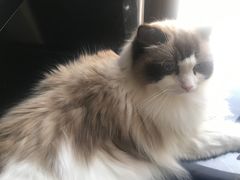 -零纪元VR体验馆·桌游(黄浦店)