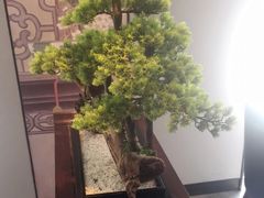 -顺峰(农展馆店)