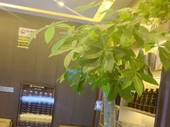 -鹿栖.精油SPA(金山世纪城店)