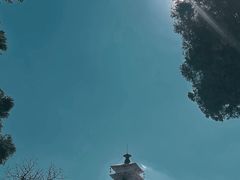 -巍山古城