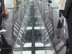 -上海环球金融中心骑迹50年环球之旅