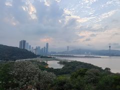 -瑞丁熊原版阅读(大华校区)