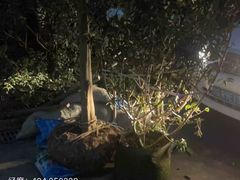 -蚂蚁搬家成都打包搬运公司