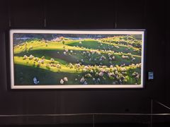 -罗红摄影艺术馆