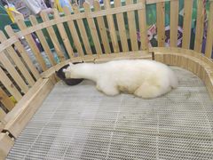 -火叮叮自助烤肉·现切牛肉(茂业店)