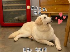 -尤加利咖啡馆