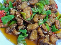 -煲来饱去冷水鱼