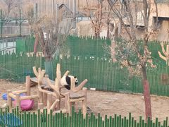 -沈阳森林动物园