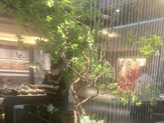 -杏花村水席楼·洛阳水席(老城十字街店)