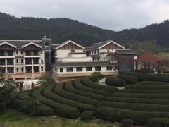 iphone_upload_pic-余姚阳明温泉山庄